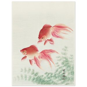 Artfulprints Poster Ohara Koson – Two veil goldfish – 30×40 cm – Meerk