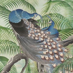 Superfresco Easy Fotobehang – Peacock – 280x200cm Superfresco Easy Fotobehang – Peacock – 280x200cm