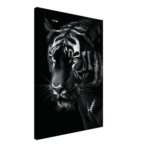 Artfulprints Canvas Tiger portrait canvas – 50×70 cm – Zwart / Wit Artfulprints Canvas Tiger portrait canvas – 50×70 cm – Zwart / Wit