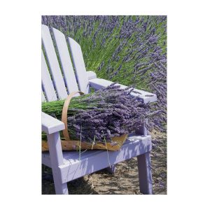 Art for the Home Buitencanvas Lavendel Stoel Art for the Home Buitencanvas Lavendel Stoel