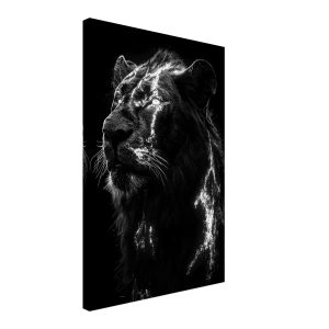 Artfulprints Canvas Lion portrait canvas – 40×60 cm – Zwart / Wit Artfulprints Canvas Lion portrait canvas – 40×60 cm – Zwart / Wit