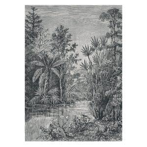 Superfresco Easy Fotobehang – Jungle – Zwart/Wit – 280×200 cm Superfresco Easy Fotobehang – Jungle – Zwart/Wit – 280×200 cm