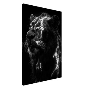 Artfulprints Canvas Lion portrait canvas – 60×90 cm – Zwart / Wit Artfulprints Canvas Lion portrait canvas – 60×90 cm – Zwart / Wit