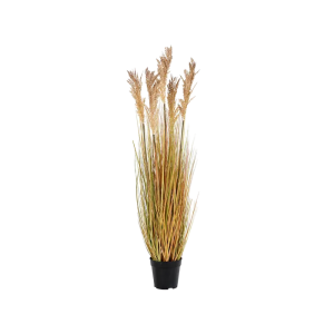 Artichok Pauline Sorghum kunstplant – 110 cm Artichok Pauline Sorghum kunstplant – 110 cm