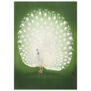 Artfulprints Poster Ohara Koson – Peacock – 50×70 cm – Groen