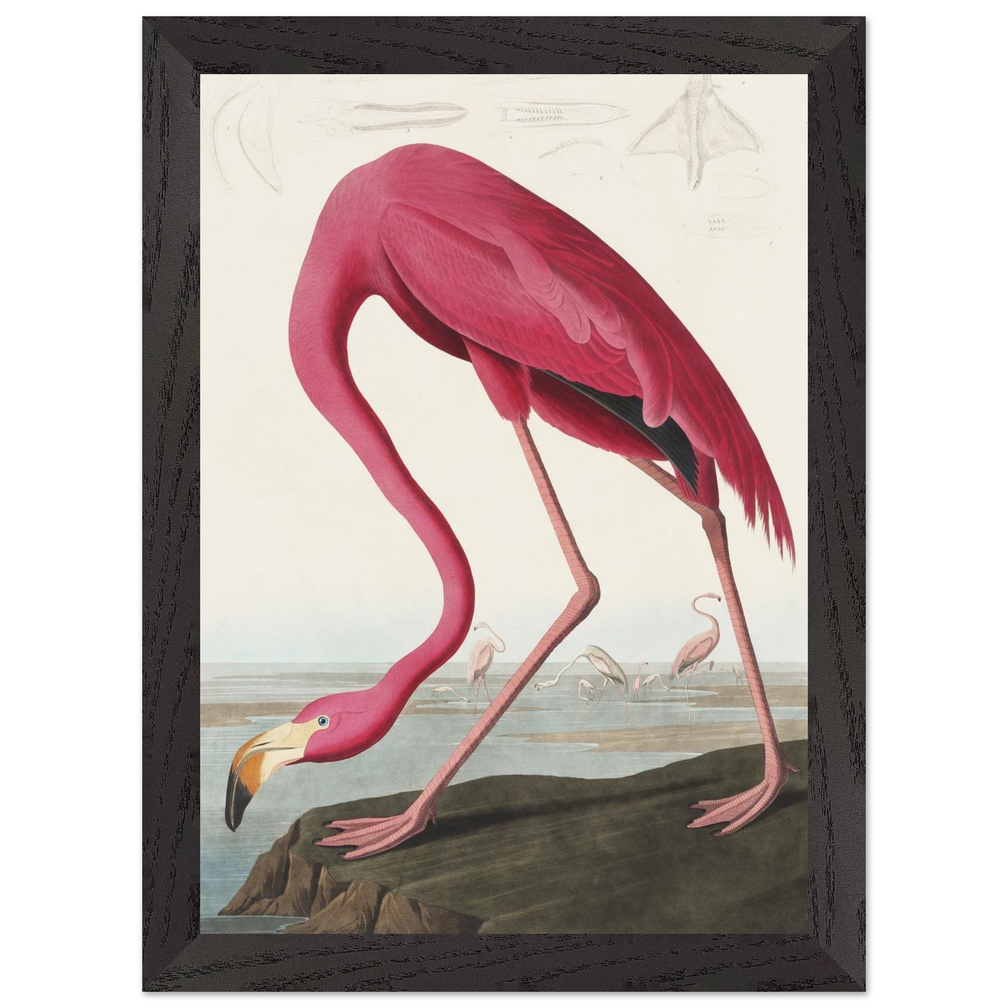 Artfulprints Poster met Lijst American flamingo - A4 21x29.7 cm - Roze