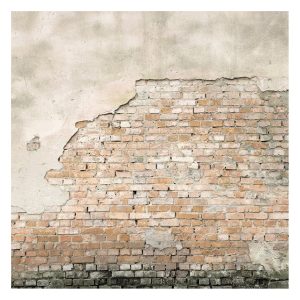 Superfresco Easy Fotobehang – Bakstenen Muur Dublin – 300×300 cm Superfresco Easy Fotobehang – Bakstenen Muur Dublin – 300×300 cm