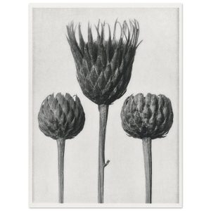 Artfulprints Burst of bloom poster 30×40 cm Artfulprints Burst of bloom poster 30×40 cm