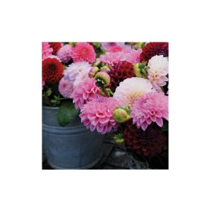 Art for the Home Buitencanvas Dahlia Art for the Home Buitencanvas Dahlia