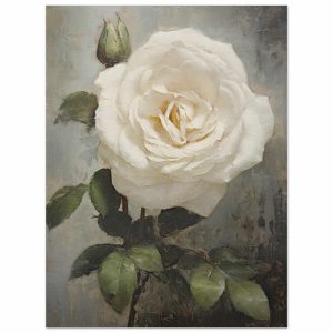 Artfulprints Poster White rose – 30×40 cm – Wit