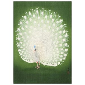 Artfulprints Poster Ohara Koson – Peacock – A4 21×29.7 cm – Groen