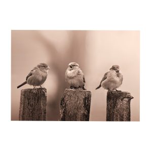 Art for the Home Buitencanvas – Vroege Vogels – Sepia – 50x70cm Art for the Home Buitencanvas – Vroege Vogels – Sepia – 50x70cm