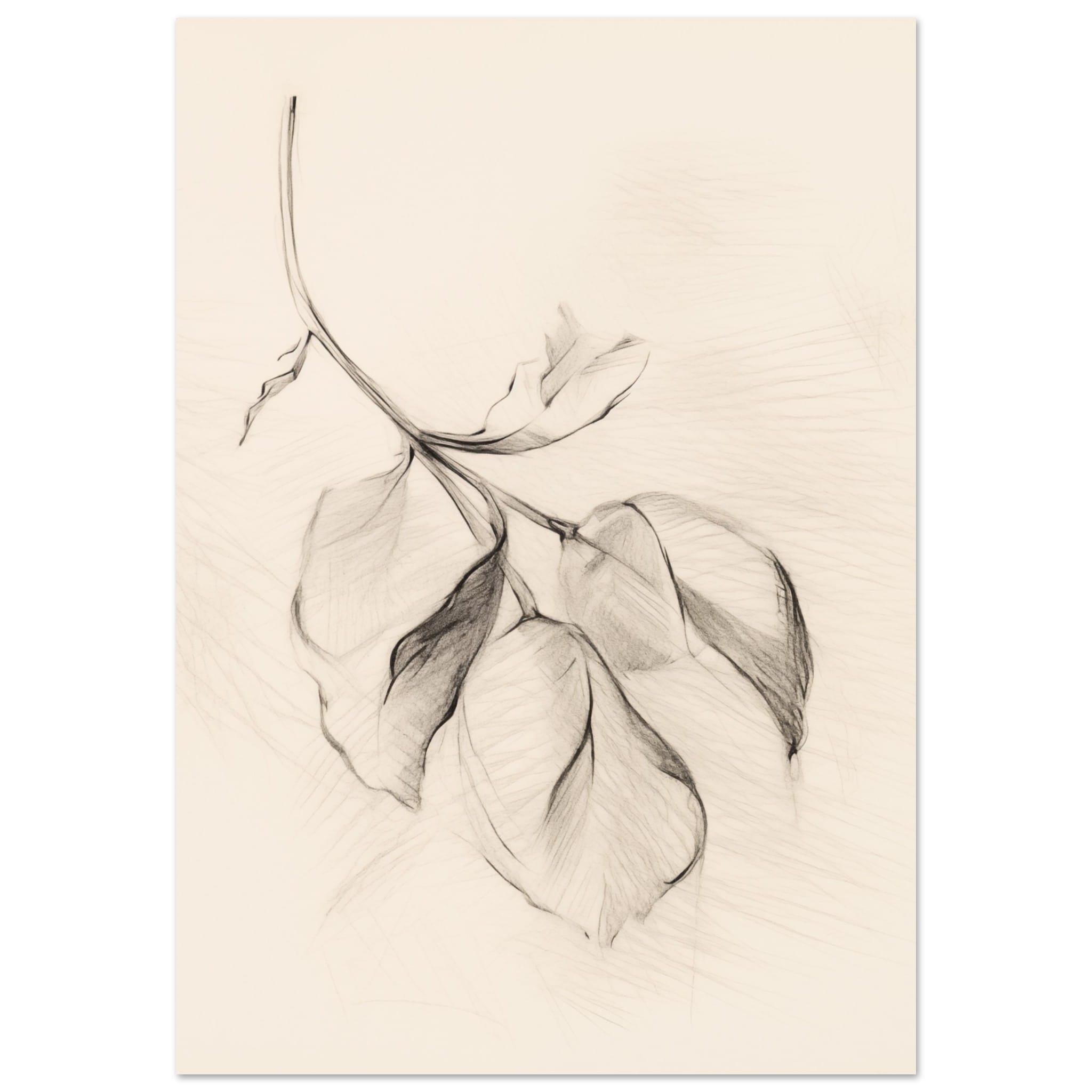 Artfulprints Poster Botanical branch - 70x100 cm - Zwart / Wit