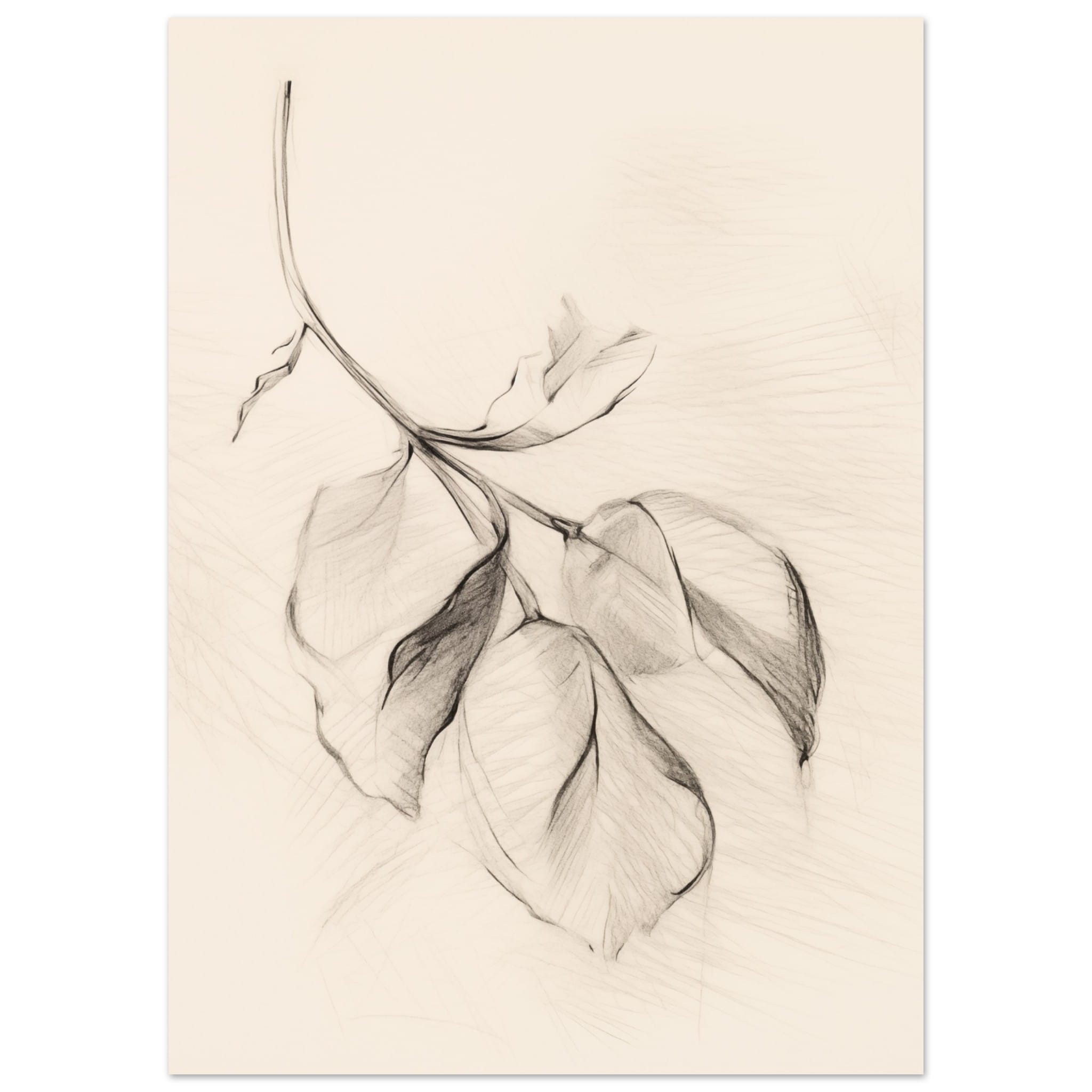 Artfulprints Poster Botanical branch - 50x70 cm - Zwart / Wit