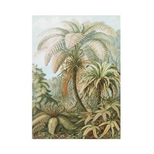 Superfresco Easy Fotobehang – Jungle Filicinae – 280x200cm Superfresco Easy Fotobehang – Jungle Filicinae – 280x200cm