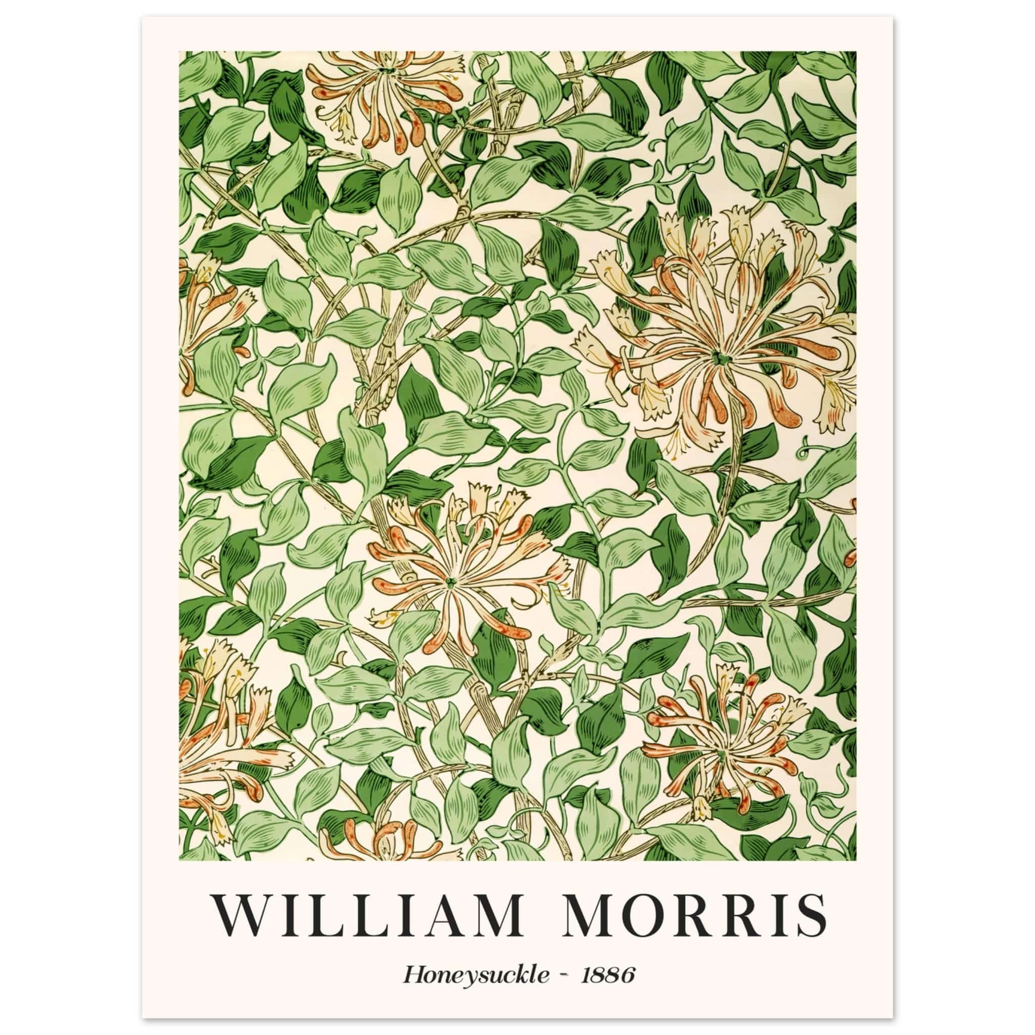 Artfulprints Poster William Morris - Honeysuckle 1886 - 30x40 cm - Gro
