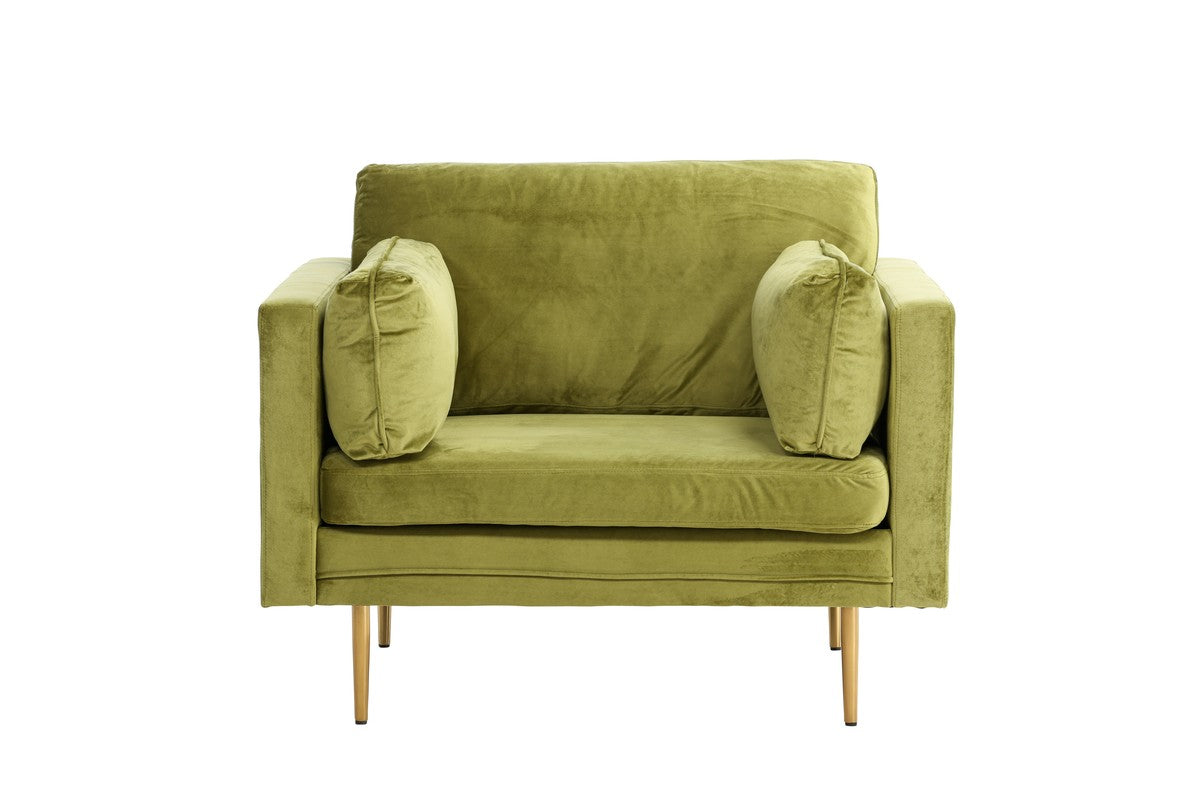 BRAM Fauteuil Renzo - Groen Velours