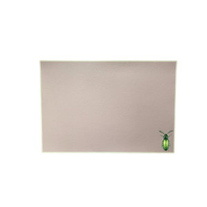 Catchii Placemat groene insect Catchii Placemat groene insect