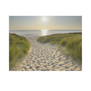 Art for the Home Buitencanvas Strandwandeling bij Zonsopgang Art for the Home Buitencanvas Strandwandeling bij Zonsopgang