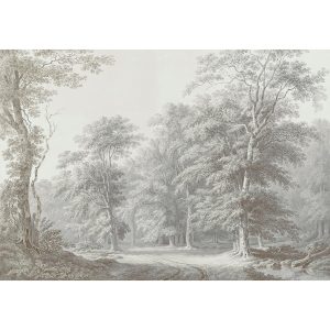 Superfresco Easy Fotobehang – Stately Woodland – 400×280 Superfresco Easy Fotobehang – Stately Woodland – 400×280