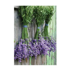 Art for the Home Buitencanvas – Lavendel – 70x50cm Art for the Home Buitencanvas – Lavendel – 70x50cm