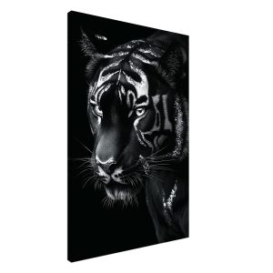 Artfulprints Canvas Tiger portrait canvas – 60×90 cm – Zwart / Wit Artfulprints Canvas Tiger portrait canvas – 60×90 cm – Zwart / Wit