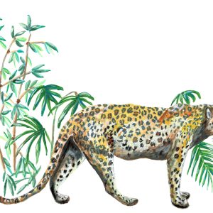 Catchii poster Jungle Panter – meerkleurig – 297×210 cm Catchii poster Jungle Panter – meerkleurig – 297×210 cm