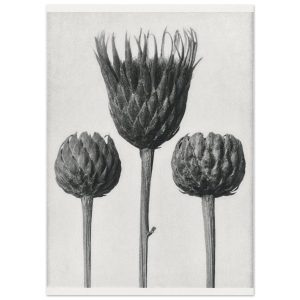 Artfulprints Burst of bloom poster 50×70 cm Artfulprints Burst of bloom poster 50×70 cm