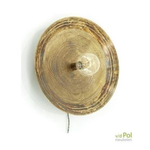 FurniLux Wandlamp Horus groot Brons – – 52x52x10 cm FurniLux Wandlamp Horus groot Brons – – 52x52x10 cm