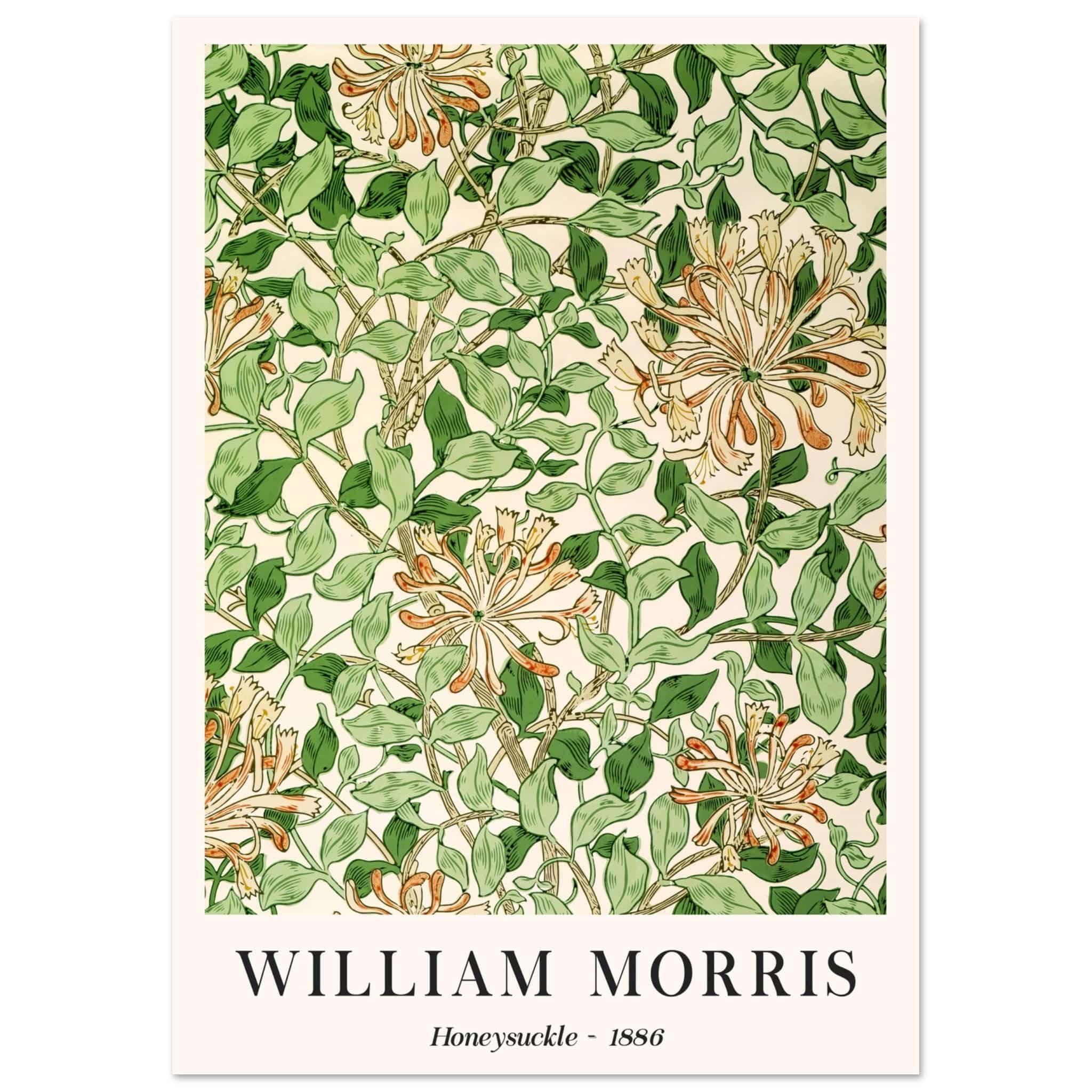 Artfulprints Poster William Morris - Honeysuckle 1886 - A4 21x29.7 cm