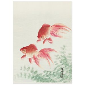 Artfulprints Poster Ohara Koson – Two veil goldfish – 50×70 cm – Meerk