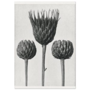 Artfulprints Burst of bloom poster 70×100 cm Artfulprints Burst of bloom poster 70×100 cm