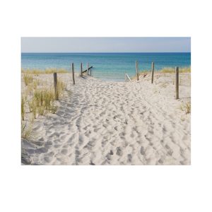 Art for the Home Buitencanvas Strandwandeling Art for the Home Buitencanvas Strandwandeling