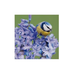 Art for the Home Buitencanvas Vogel op een bloem Art for the Home Buitencanvas Vogel op een bloem
