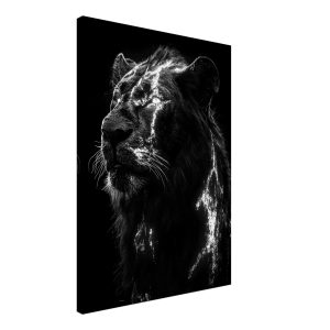Artfulprints Canvas Lion portrait canvas – 50×70 cm – Zwart / Wit Artfulprints Canvas Lion portrait canvas – 50×70 cm – Zwart / Wit