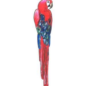 Catchii poster Papegaai Rood – meerkleurig – 297×210 cm Catchii poster Papegaai Rood – meerkleurig – 297×210 cm