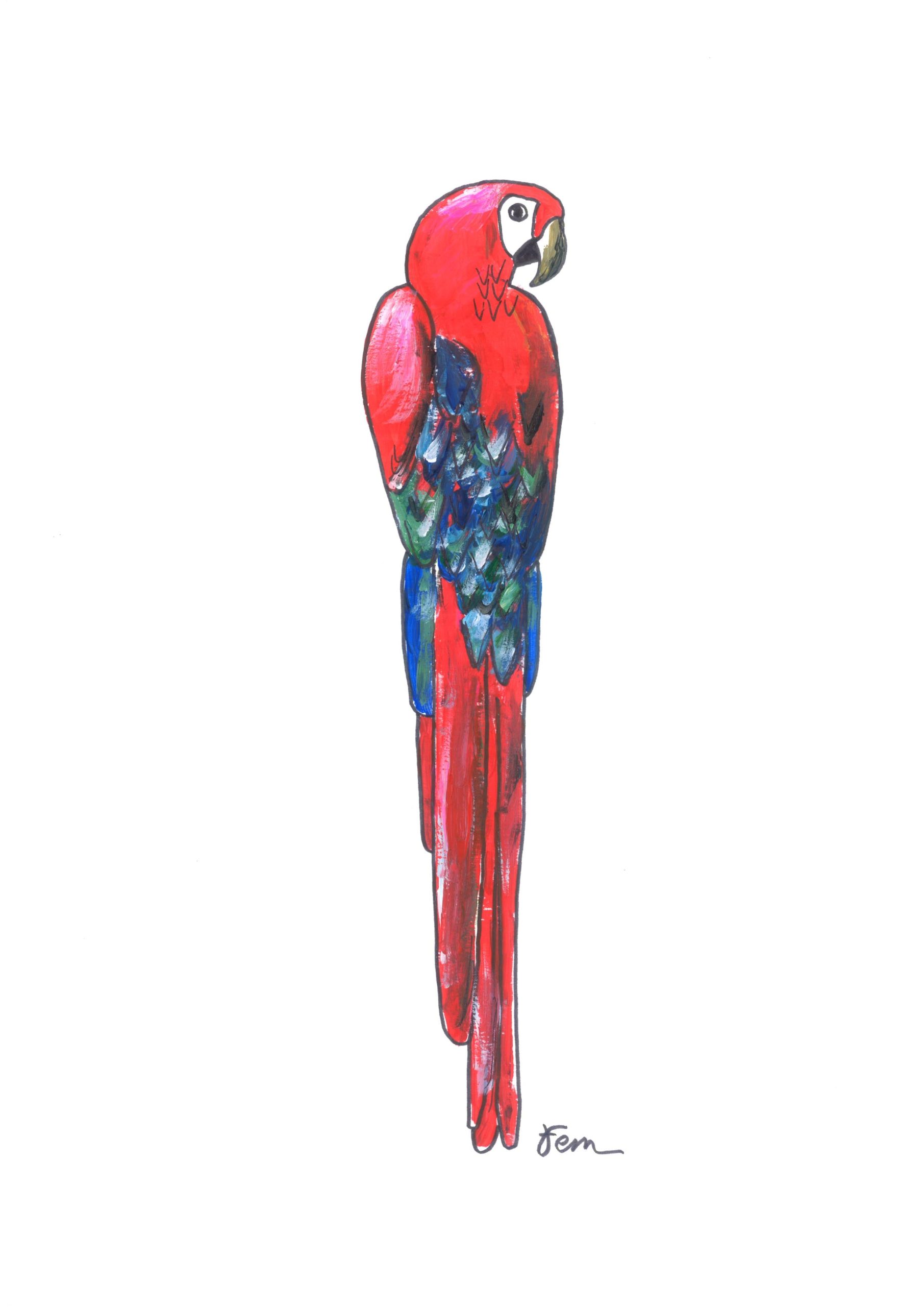Catchii poster Papegaai Rood - meerkleurig - 297x210 cm