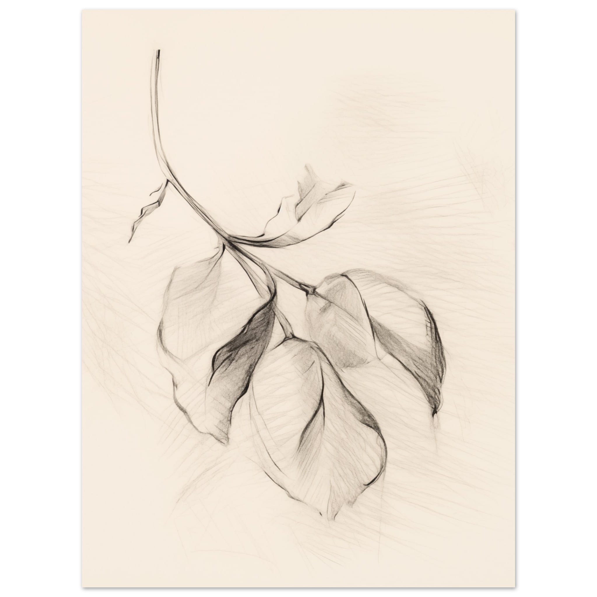 Artfulprints Poster Botanical branch - 30x40 cm - Zwart / Wit