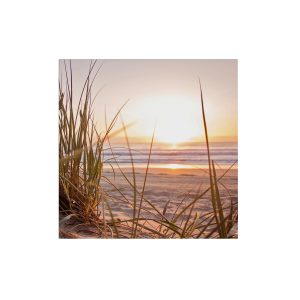 Art for the Home Buitencanvas – Zonsondergang Duinen – 50x50cm Art for the Home Buitencanvas – Zonsondergang Duinen – 50x50cm