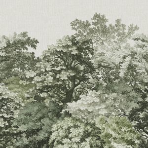 Superfresco Easy Fotobehang – Forest Canopy – 300×280 Superfresco Easy Fotobehang – Forest Canopy – 300×280