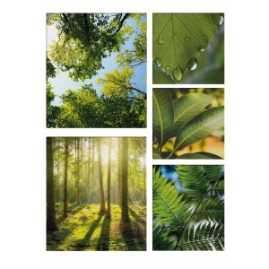 Art for the Home Canvas Set van 5 – Groene Stilte – 80x60cm