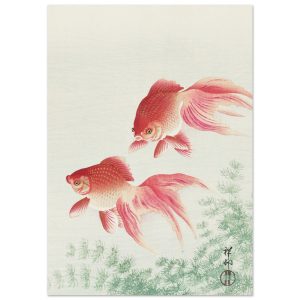 Artfulprints Poster Ohara Koson – Two veil goldfish – A4 21×29.7 cm –