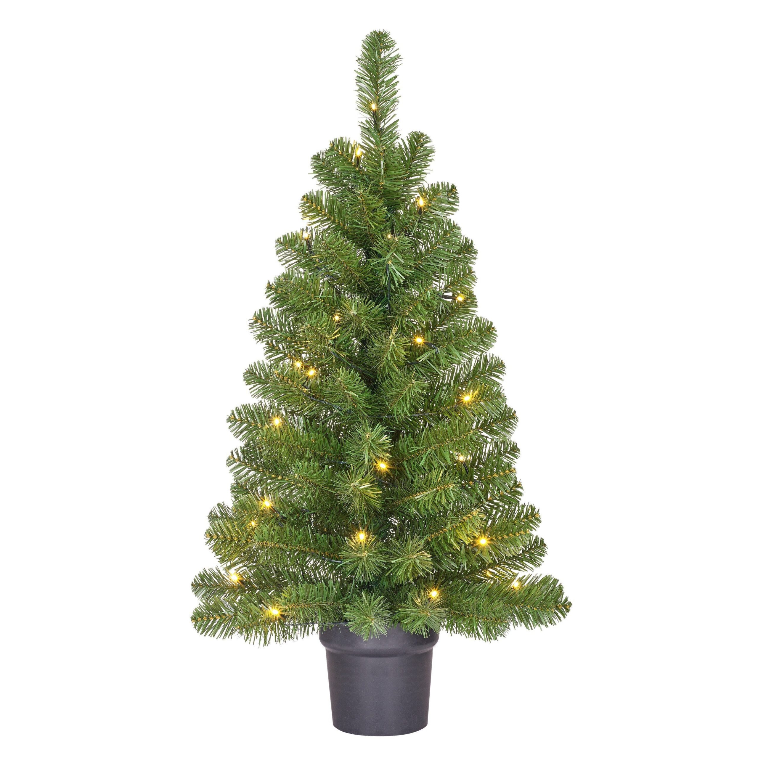 Black Box Trees Norton Kerstboom met Verlichting in Pot - op Batterij