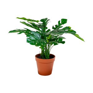 Artichok Denise Monstera kunstplant – 45 cm Artichok Denise Monstera kunstplant – 45 cm