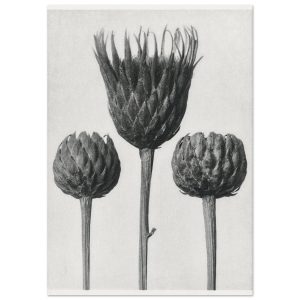 Artfulprints Burst of bloom poster A4 21×29.7 cm Artfulprints Burst of bloom poster A4 21×29.7 cm