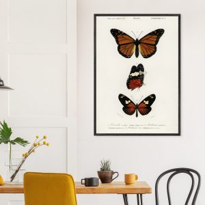 Artfulprints Poster Charles Dessalines d'Orbigny – Butterfly – 30×40 c