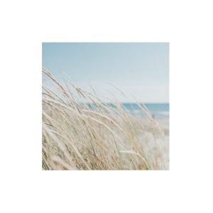 Art for the Home Buitencanvas Strand Art for the Home Buitencanvas Strand