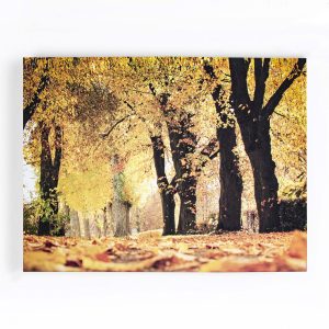 Art for the Home Canvas – Herfst – 75x100cm Art for the Home Canvas – Herfst – 75x100cm