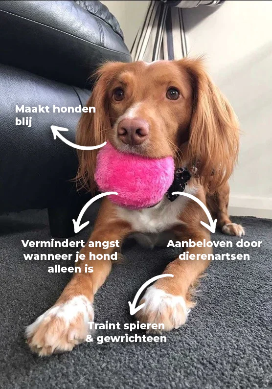 Actieve speelbal – Anti-stress Automatische Bal
